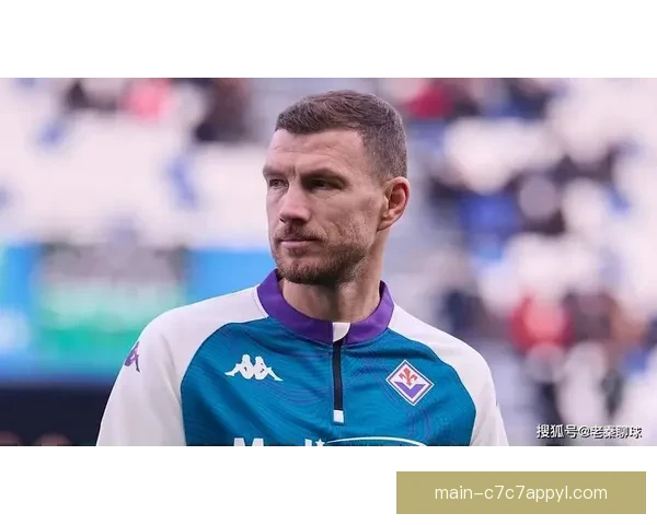 德天空称哲科赴沙尔克障碍薪资