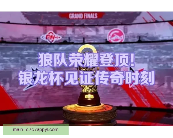 五到十二映照狼队财务失控危机